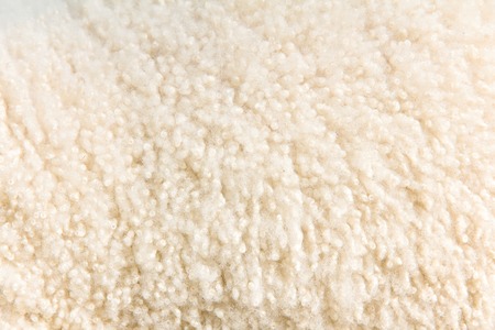 Lambswool background textureの写真素材