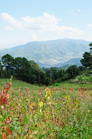 View of Mountains,Mountains in the North of Thailand,Chiang Mai Province.