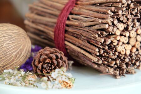 Pinecones and dried Plants, home decorationの写真素材