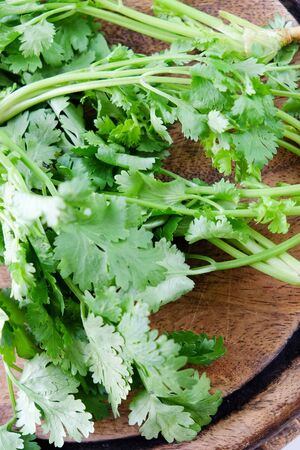 Bunch of fresh coriander on a wooden table