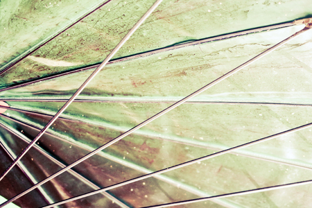 detail image of vintage umbrella.の写真素材