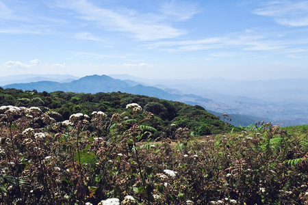 View of Mountains,Kew Mae Pan a nature trail,  the highest point in Thailand.の写真素材