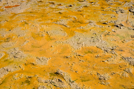 Pictures of the soil before planting rice.の写真素材