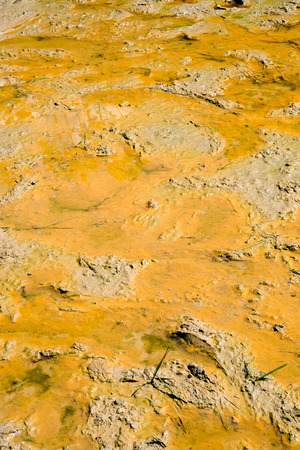 Pictures of the soil before planting rice.の写真素材