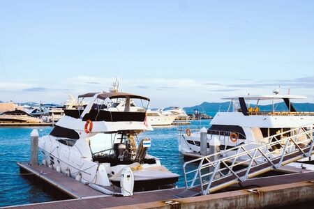 Luxury yachts docked in marina.