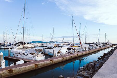 Luxury yachts docked in marina.
