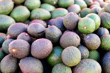 Heap of of green avocadosの写真素材