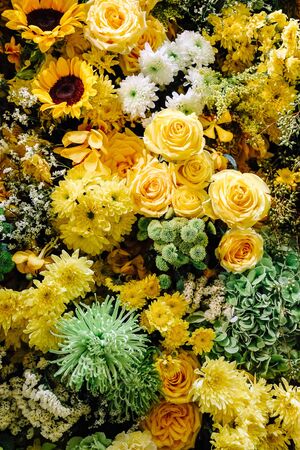 image of Colorful flowers background.の写真素材