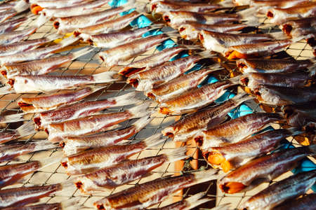 image of Homemade dried fishの写真素材
