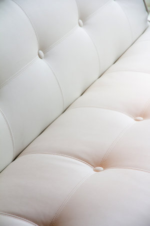 Close up of luxury buttoned leatherの写真素材