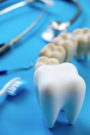 Tooth model and dentist tools on blue background. Dentistry concept.の写真素材
