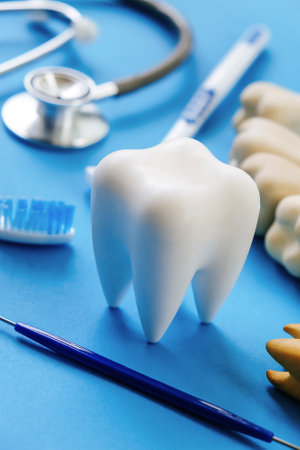 Tooth model, stethoscope and mirror on blue background.の写真素材