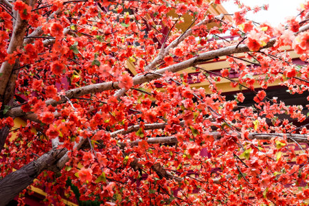 imitation flower, artificial Japanese cherry blossoms in full bloom. Beautiful flowers background.の写真素材