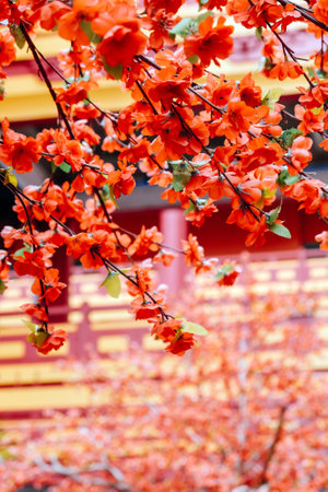 imitation flower, artificial Japanese cherry blossoms in full bloom. Beautiful flowers background.の写真素材