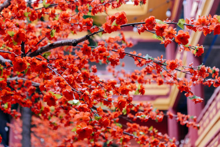 imitation flower, artificial Japanese cherry blossoms in full bloom. Beautiful flowers background.の写真素材