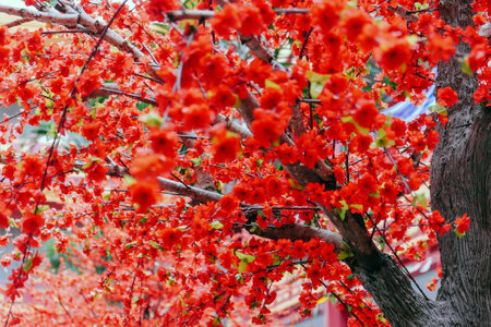 imitation flower, artificial Japanese cherry blossoms in full bloom. Beautiful flowers background.の写真素材
