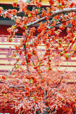 imitation flower, artificial Japanese cherry blossoms in full bloom. Beautiful flowers background.の写真素材