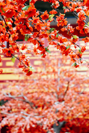 imitation flower, artificial Japanese cherry blossoms in full bloom. Beautiful flowers background.の写真素材