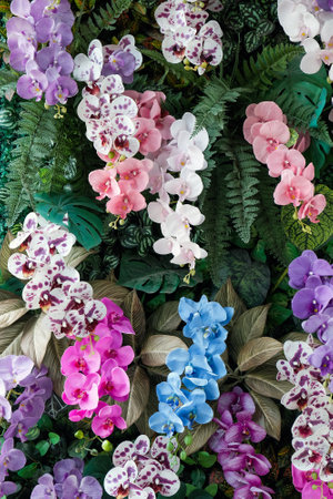 imitation flower,Colorful artificial orchids in the garden. Beautiful flowers background.の写真素材