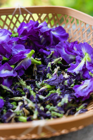 closeup image of butterfly pea flowers in basket.の写真素材