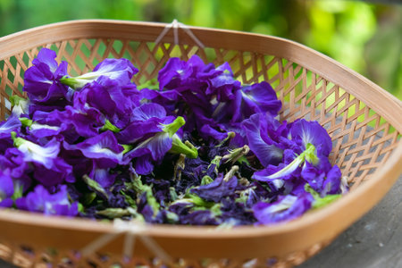 closeup image of butterfly pea flowers in basket.の写真素材