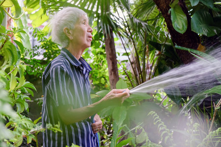 Senior asian woman watering the garden with hose in home garden.の写真素材