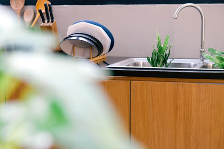 Interior of modern kitchen with sink, faucet and plantsの写真素材