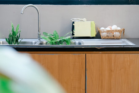 Interior of modern kitchen with sink, faucet and plantsの写真素材