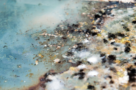 A picture of mold growing on leftover food scraps in the refrigerator.の写真素材