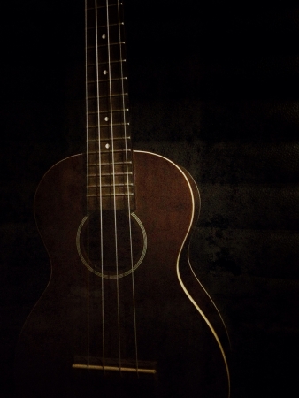 Ukulele make with grunge filter.の素材