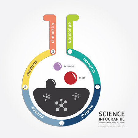 infographics vector science design diagram line style templateのイラスト素材