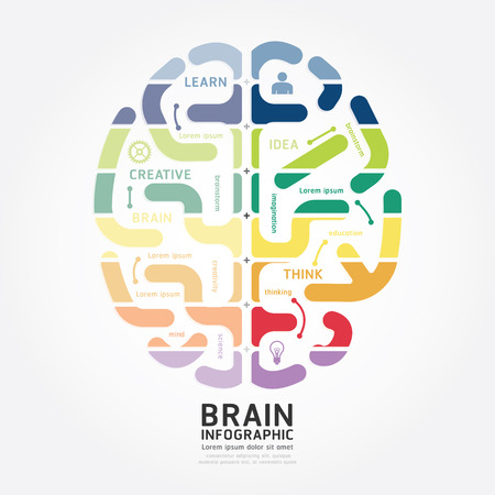 infographics vector brain design diagram line style templateのイラスト素材