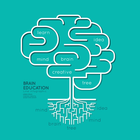Flat linear Infographic Education Outline Brain Roots Concept.Vector Illustration.のイラスト素材