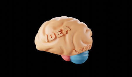 Human brain idea Model 3d render.