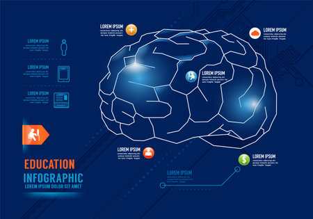 Infographics education Brain Concept Design options banner. Vector illustration.のイラスト素材