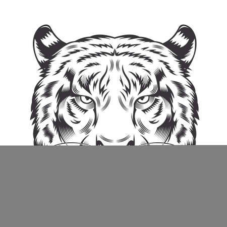 Tiger Head design on white background. Tiger Head Line Art logos . vector illustration.のイラスト素材