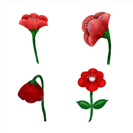 Water color flower collection , leaves, floral bouquets, flower compositions vectorのイラスト素材