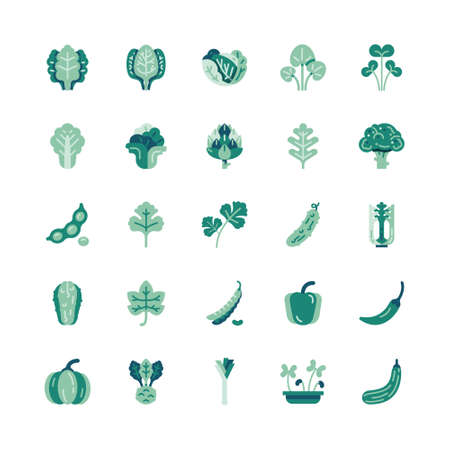 Bundle of greenery vegetable flat green color collection. simple design vector.のイラスト素材