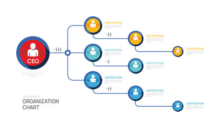 Infographic template for organization chart with business avatar icons. vector infographic for business.のイラスト素材