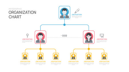 Infographic template for organization chart with business avatar icons. vector infographic for business.のイラスト素材