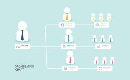 Infographic template for organization chart with business avatar icons. vector infographic for business.のイラスト素材