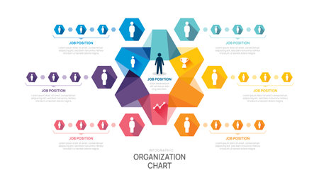 organization chart Infographic hexagon template for business avatar icons.のイラスト素材