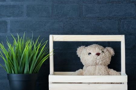 one bear and one grassの写真素材