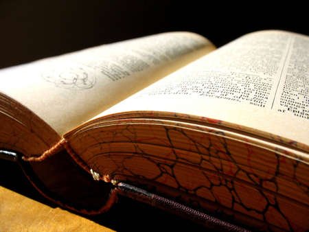 An ancient book that longs to be read.