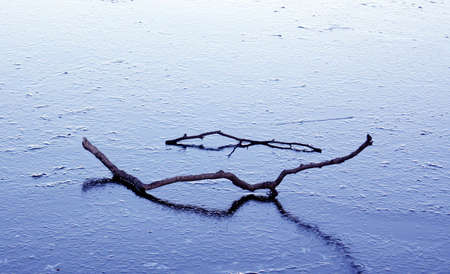 Stick frozen in the ice in the winterの写真素材