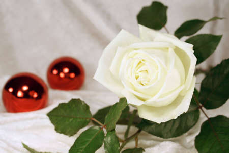 Rose with christmas ornaments in backgroundの写真素材