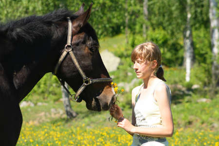 Black horse with girl in a fieldの写真素材