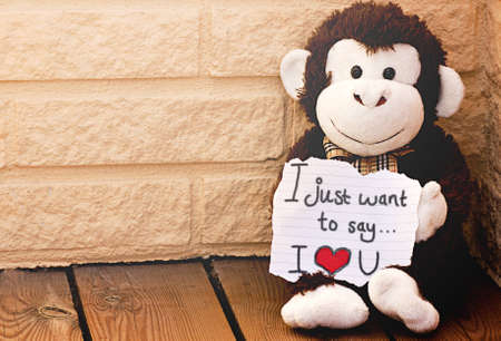 A monkey with the message I love youの写真素材