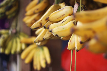 Hanging bananas in the market with depthの写真素材