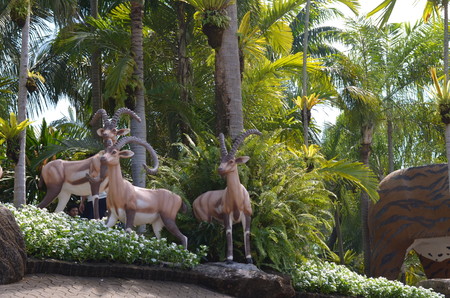 Nong Nooch Garden Pattayaの写真素材